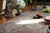 Toddler  and toys in living room