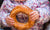 Happy kid holding donut 