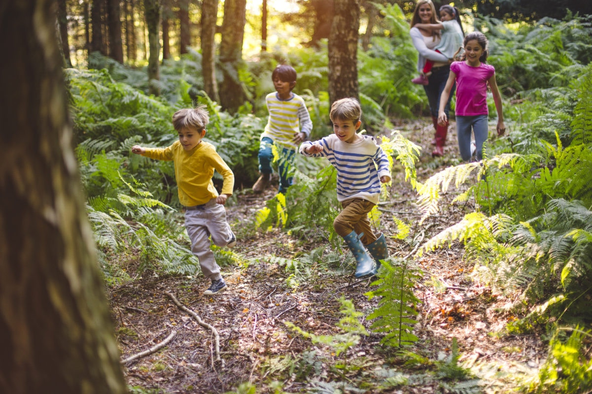 Children playing in a forest