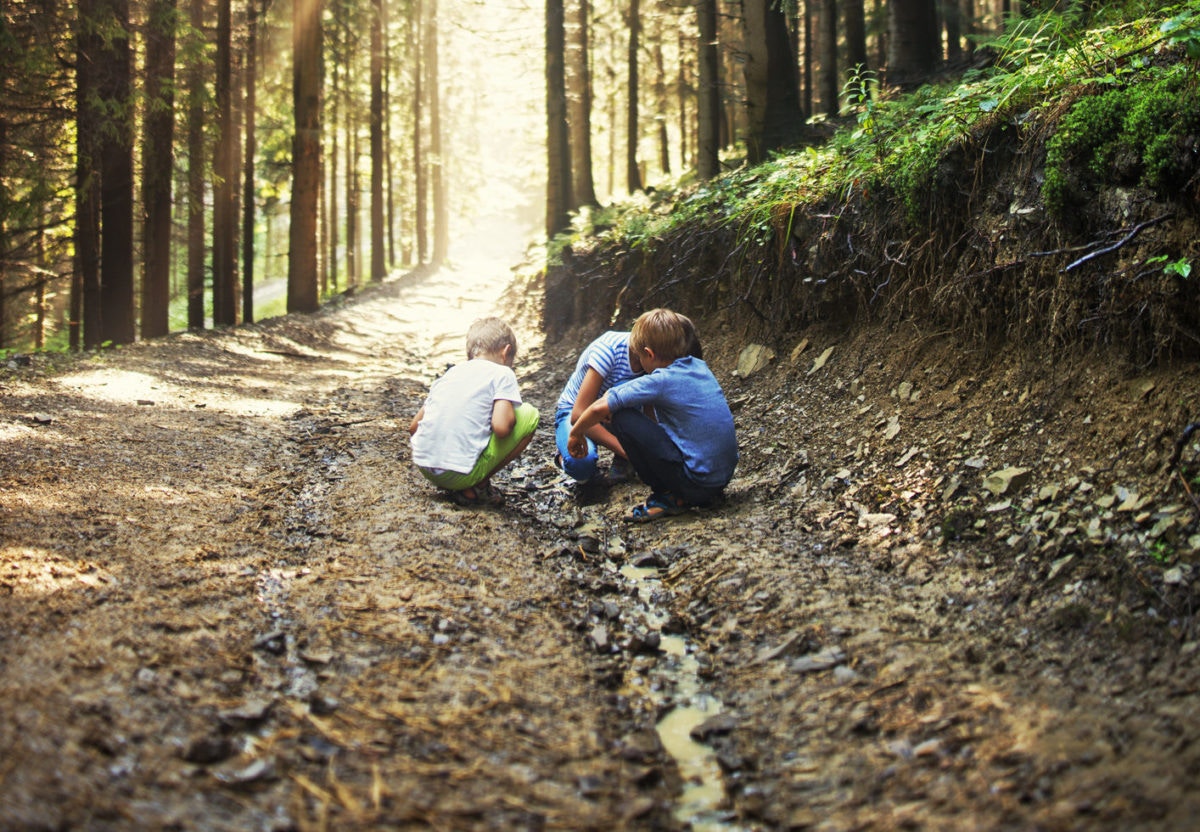 three boys in the woods looking at the ground