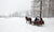 sleigh ride with snow coming down