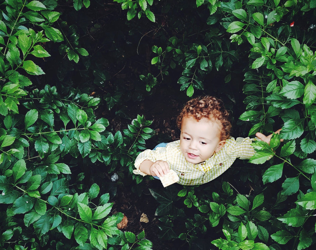 little boy standing in forest looking up